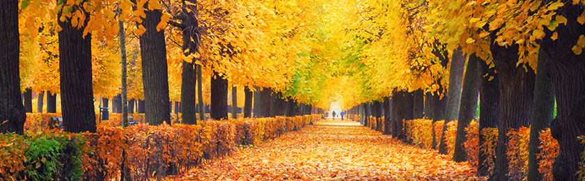 Herbst!