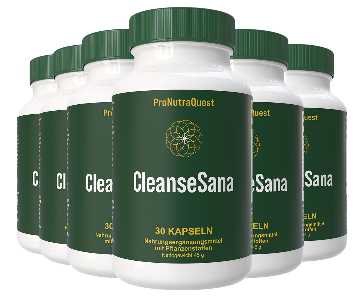 CleanSana